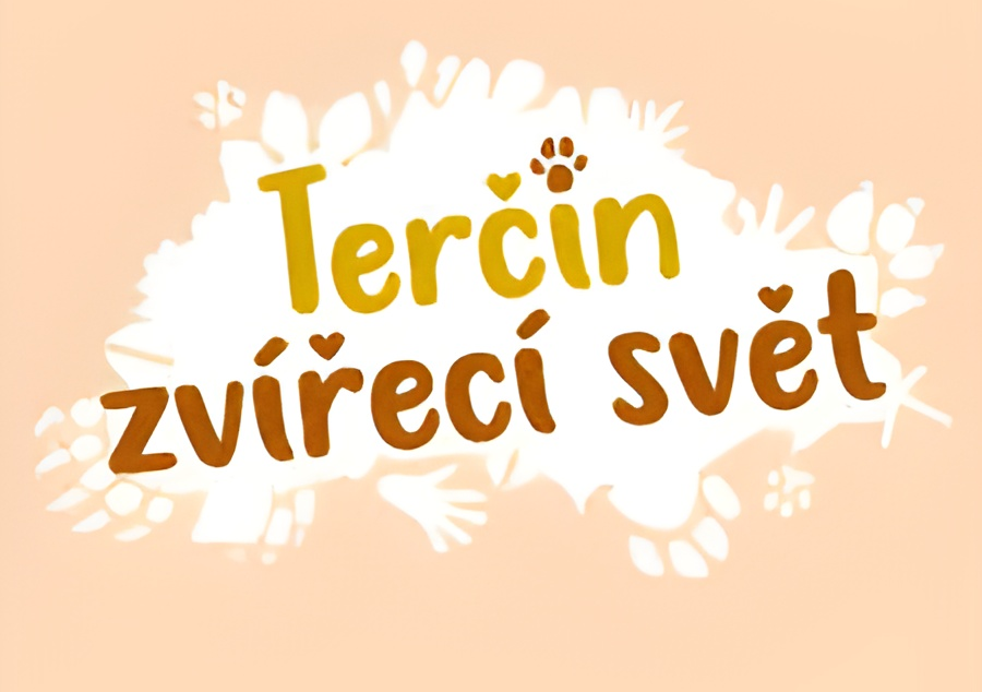 Žáci naší školy v dětském pořadu České televize