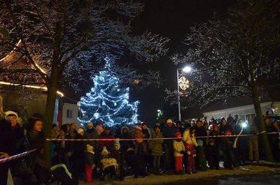 Vánoční strom Modřice 2014, foto Miroslav Hájek